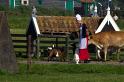 Zaanse Schans 020